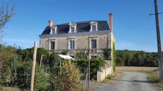 Misse House Landscape